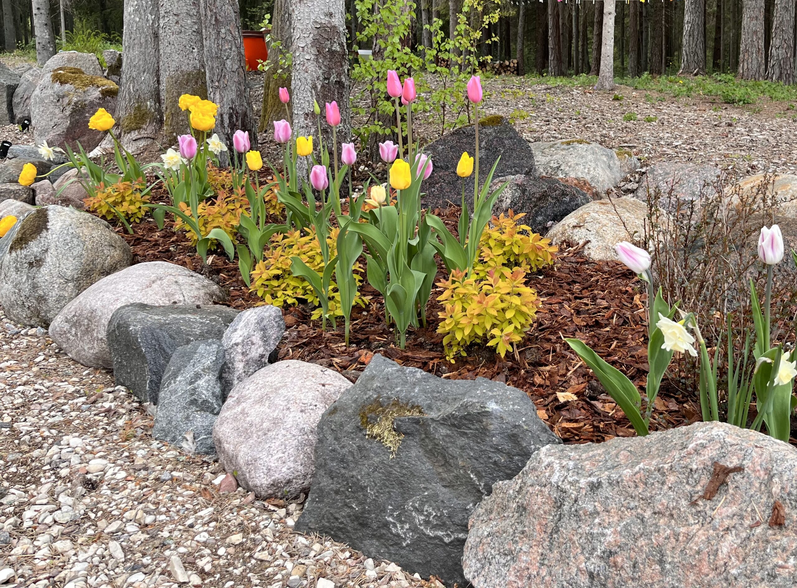 img 2816 1 scaled.jpeg